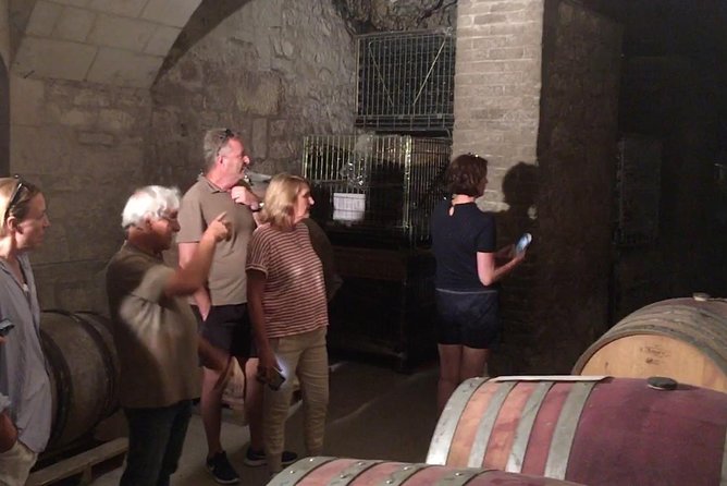Vineyard cycle tours in and around Chinon, in the Loire Valley - Weather, cancellation, and useful planning details