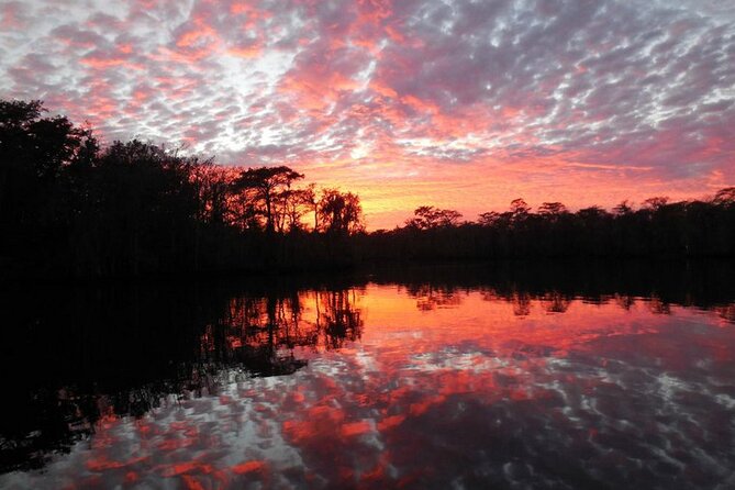 Waccamaw River Nature and Wildlife Tour - Agnes, Abigail, and the style of narration