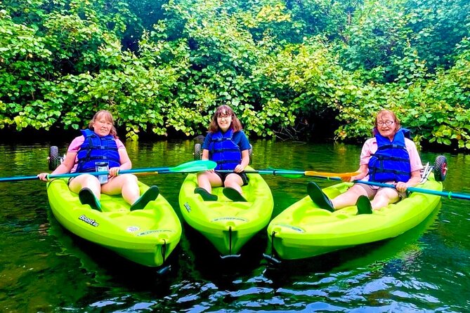 Wailoa River to King Kamehameha Statue Kayak Adventure - Starting at Hilo Ocean Adventures on Kamehameha Avenue