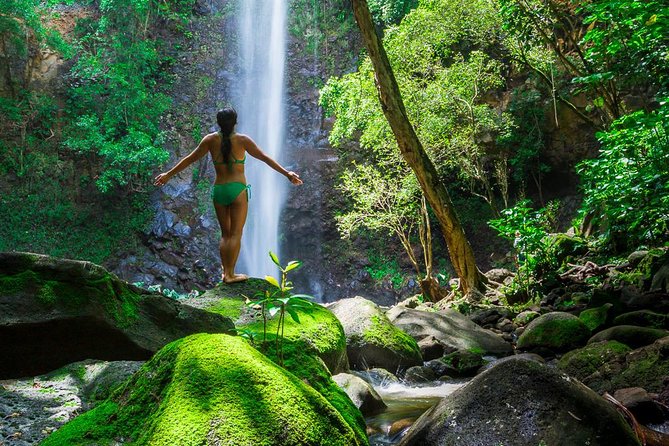 Wailua River Kayak and Sacred Falls Guided Hike with Lunch - Starting at Kayak Kauai in Kapaʻa