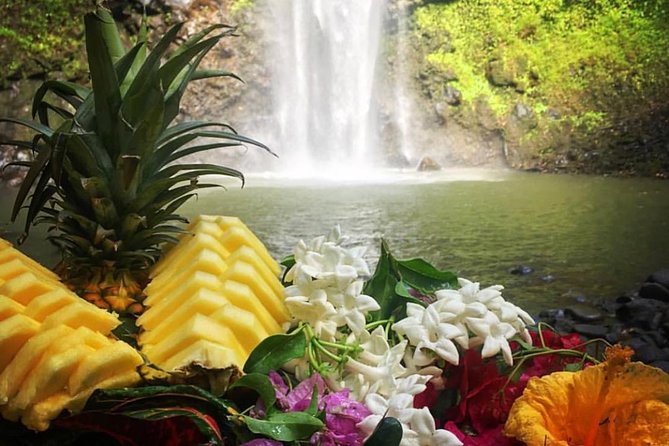 Wailua River & Waterfalls Kayak Tour: Expert-Guided Adventure - The Wailua River sets the tone