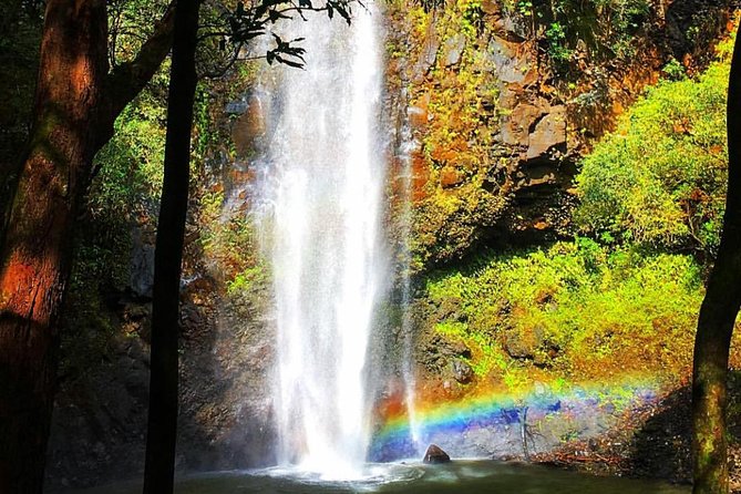 Wailua River & Waterfalls Kayak Tour: Expert-Guided Adventure - Guides make the difference