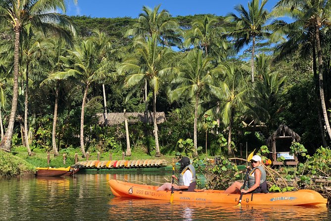 Wailua River & Waterfalls Kayak Tour: Expert-Guided Adventure - What the $145.86 price includes
