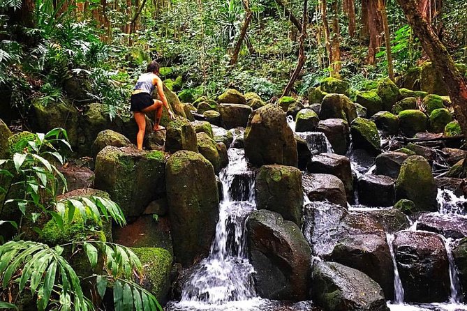 Wailua River & Waterfalls Kayak Tour: Expert-Guided Adventure - Who should book this Kauai adventure