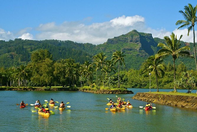 Wailua River & Waterfalls Kayak Tour: Expert-Guided Adventure - Practical preparation that improves the day