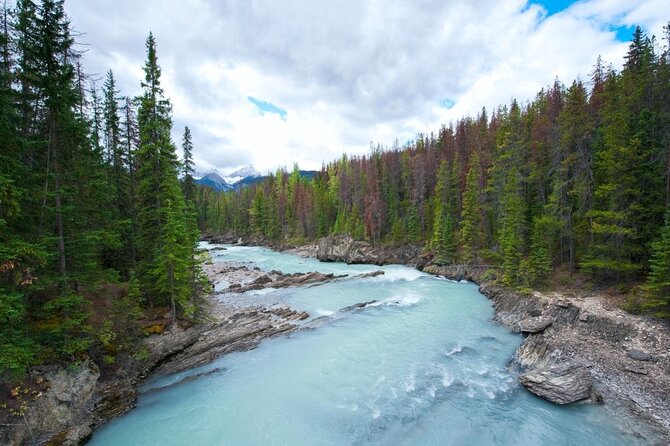 Whitewater Rafting Adventure | Kicking Horse River - Key points before you book