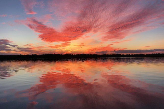 Wildlife Tour of Indian River Lagoon with Experienced Captain - Why this Indian River Lagoon trip is worth considering