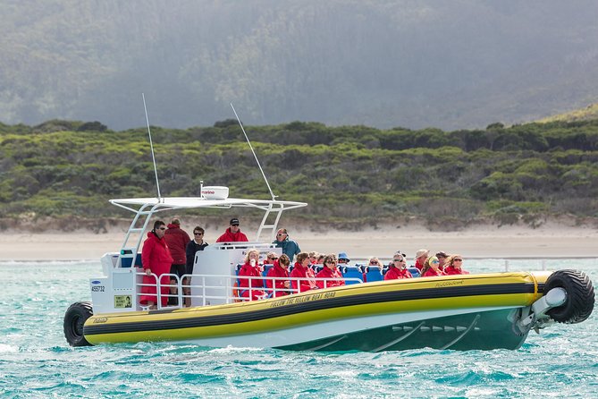 Wilsons Promontory Wilderness Cruise from Tidal River - The crew makes a real difference