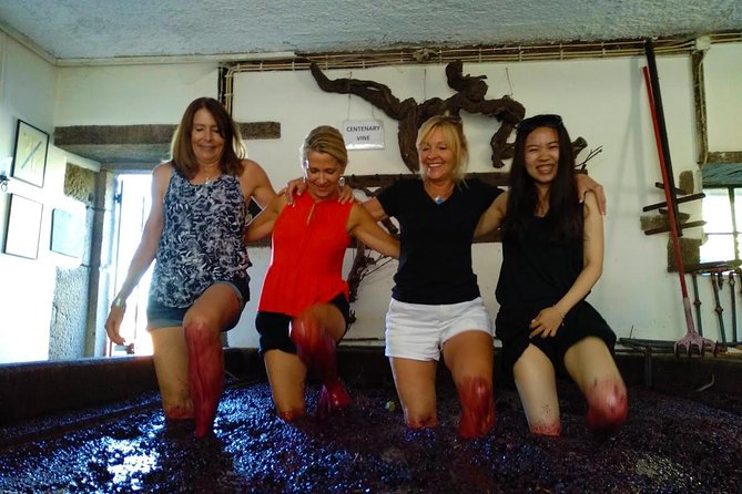 Wine Venture and Boat Trip in Douro Valley from Porto - Practical Details Before You Book