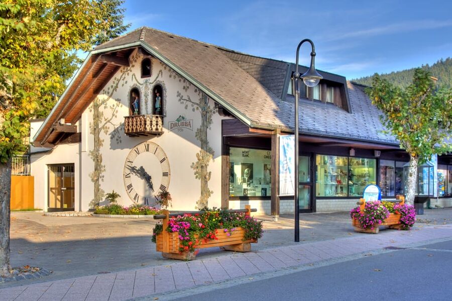 Zurich: Black Forest, Titisee, and Rhine Falls Bus Day Trip - Who Will Like This Day Trip