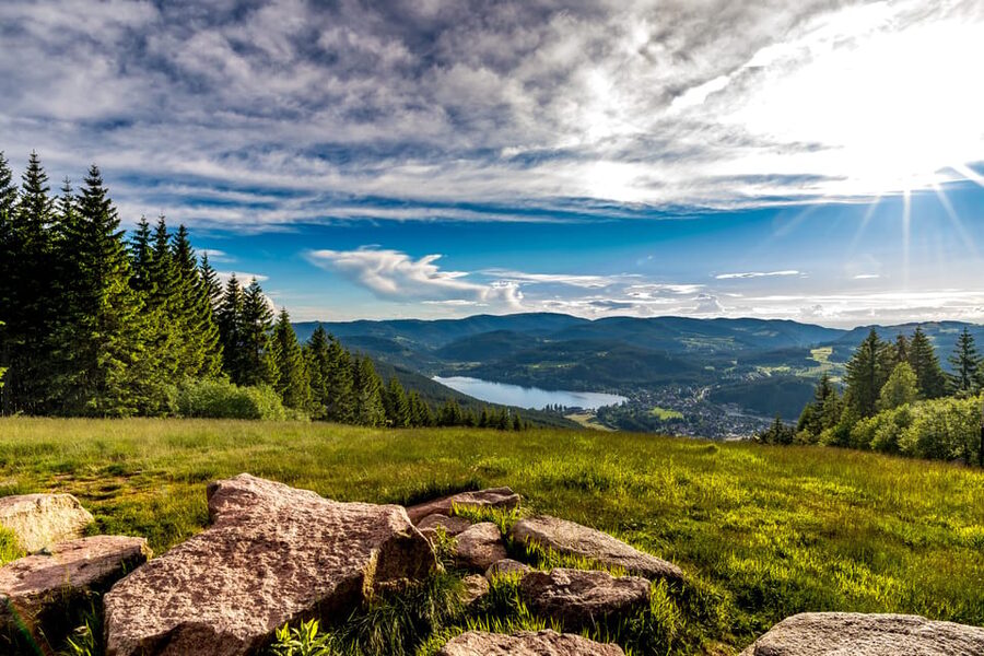 Zurich: Black Forest, Titisee, and Rhine Falls Bus Day Trip - Starting Near Zurich HB