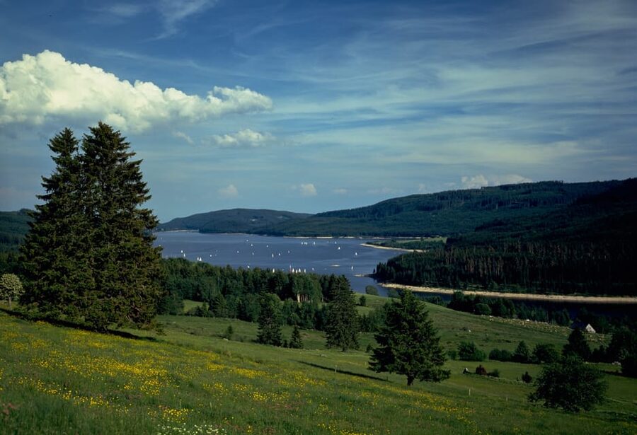 Zurich: Black Forest, Titisee, and Rhine Falls Bus Day Trip - Optional Boat Ride on Lake Titisee