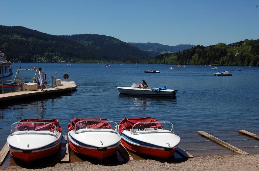 Zurich: Black Forest, Titisee, and Rhine Falls Bus Day Trip - What the Guide Adds