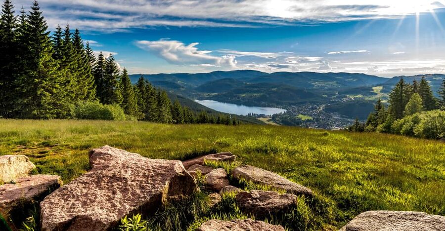Zurich: Black Forest, Titisee, and Rhine Falls Bus Day Trip - The Road Through Lake Country